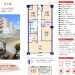 メゾンデュオーラ天王台